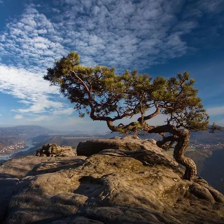 公寓 Altstadt Domizil