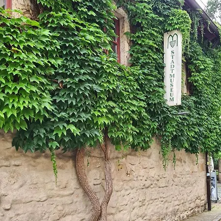 Apartment Altstadt Domizil