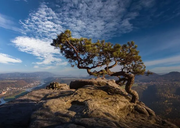 Appartement Altstadt Domizil