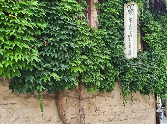 Appartement Altstadt Domizil